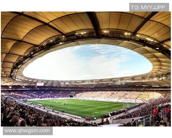 足球激情四溢探索全球足球文化与历史的深刻变迁与未来趋势